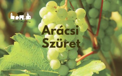 Arácsi szüret 2023.