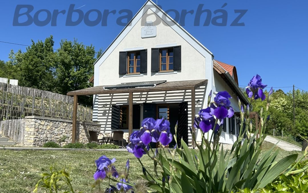 Borbora Borház Villa