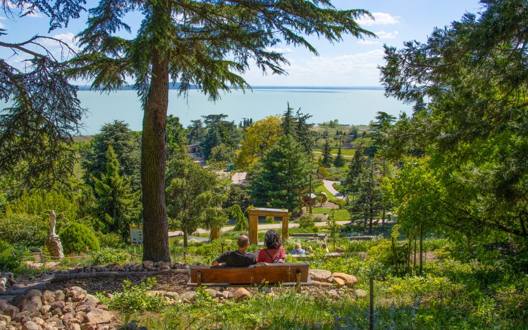 Folly Arborétum